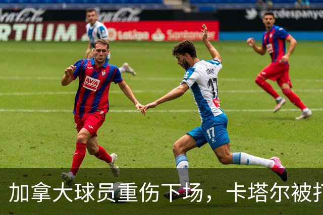 加拿大球员重伤下场，卡塔尔被打爆，“输球又输人”