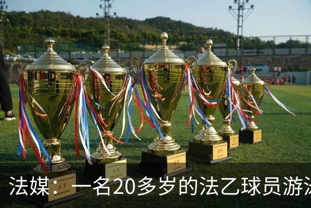 法媒：一名20多岁的法乙球员游泳溺水后脑死亡 政府呼吁注意安全