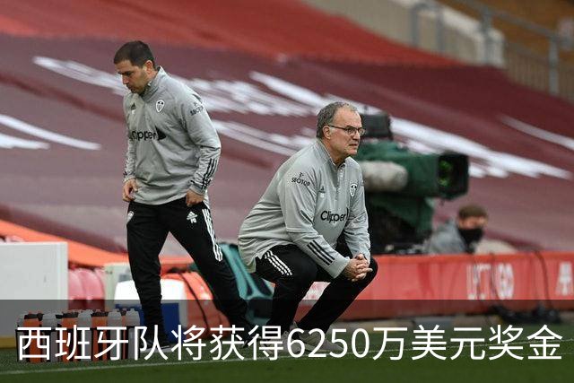 西班牙队将获得6250万美元奖金 每位球员将分得约88万美元